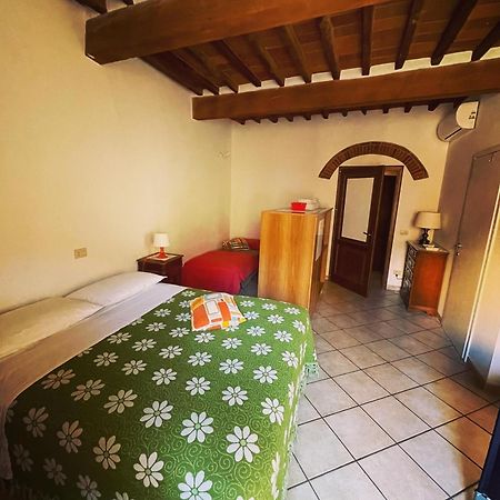 Bed and Breakfast Bed & Wine La vite maritata Castagneto Carducci Esterno foto
