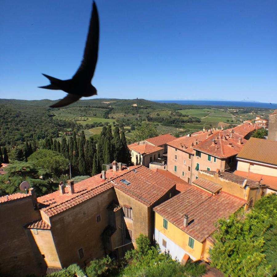 Bed and Breakfast Bed & Wine La vite maritata Castagneto Carducci Esterno foto